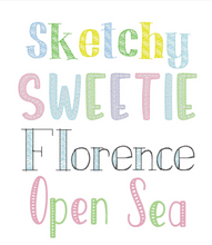 Load image into Gallery viewer, Embroidered School Folders
